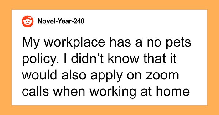 Person Gets An Official Warning From HR For Having Their Dog In The Background Of A Zoom Call