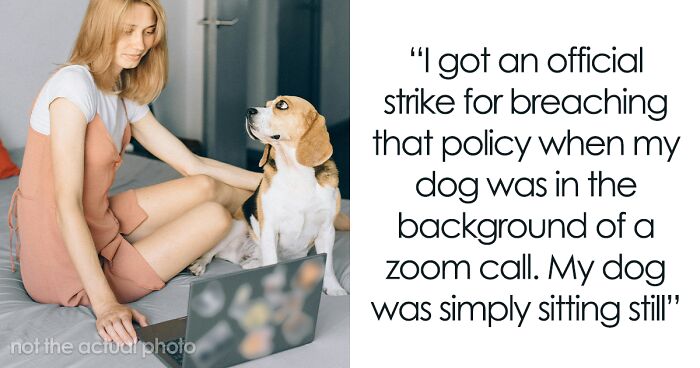 Employee Gets A Warning As Their Dog In The Background Of A Zoom Call Violates No-Pet Policy