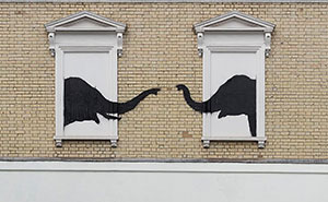 9 Latest Graffiti Artworks Of Animals Running Around The Streets Of London By Banksy