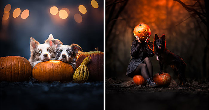 I’m A Photographer Who Captured 20 Spooky Yet Enchanting Dog Portraits