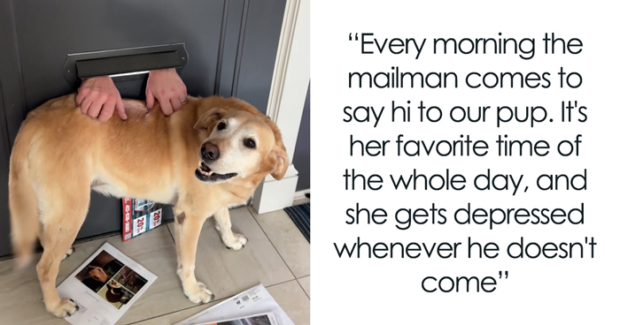 Mailman Finds A Hilarious Way To Greet Beloved Dog Each Morning On His Route