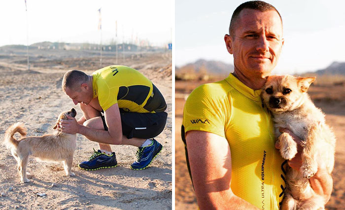 Stray Dog Runs 80 Miles With Athlete In Chinese Desert, Finds A New Home