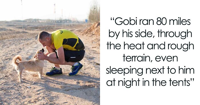 Stray Dog Followed Marathon Runner Across The Gobi Desert And Found A Forever Home