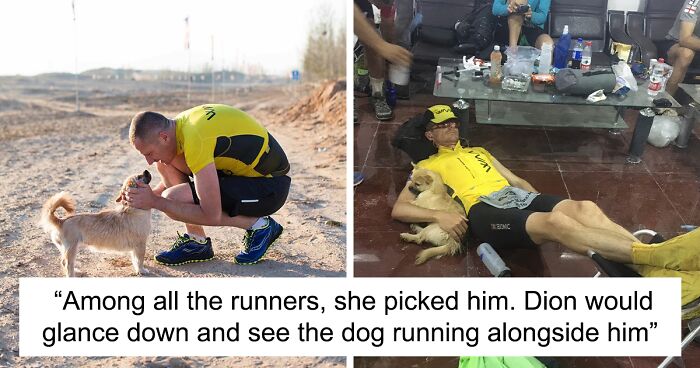 Unlikely Friendship: Runner Adopts Dog Who Followed Him Across The Gobi