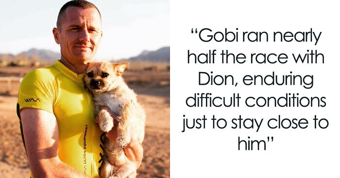 Stray Dog Found A Forever Home After Running 80 Miles With Athlete In Chinese Desert