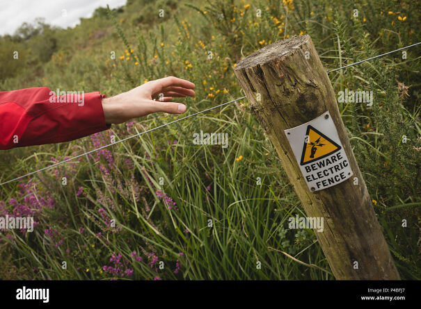 man-touching-electric-fence-P4BFJ7.jpg