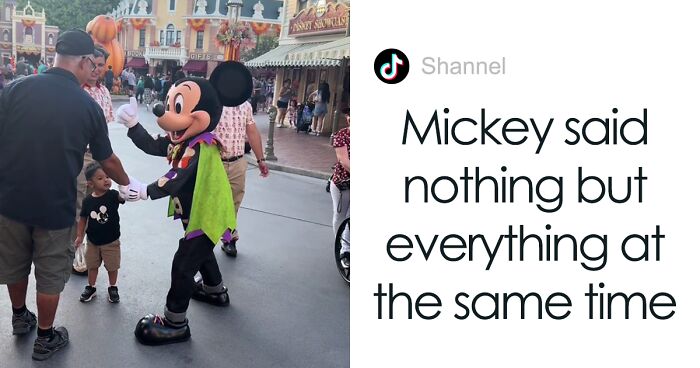 Mickey Mouse Disciplines Neglectful Dad At Disneyland, The Video Of It Goes Viral