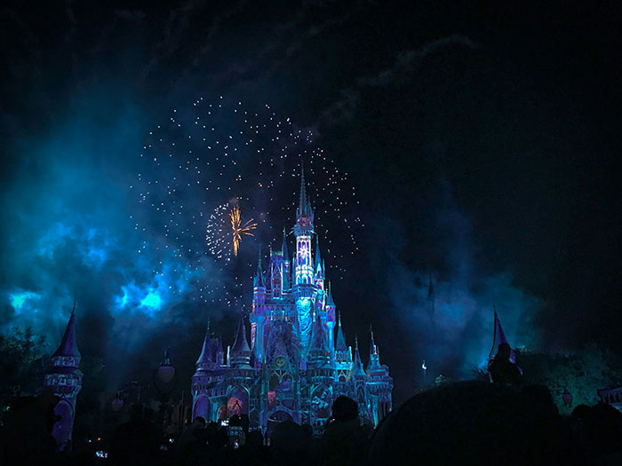 Mom Uninvites Stepson From Fam’s Trip To Disney World, Netizens Conclude That She’s A Total Jerk