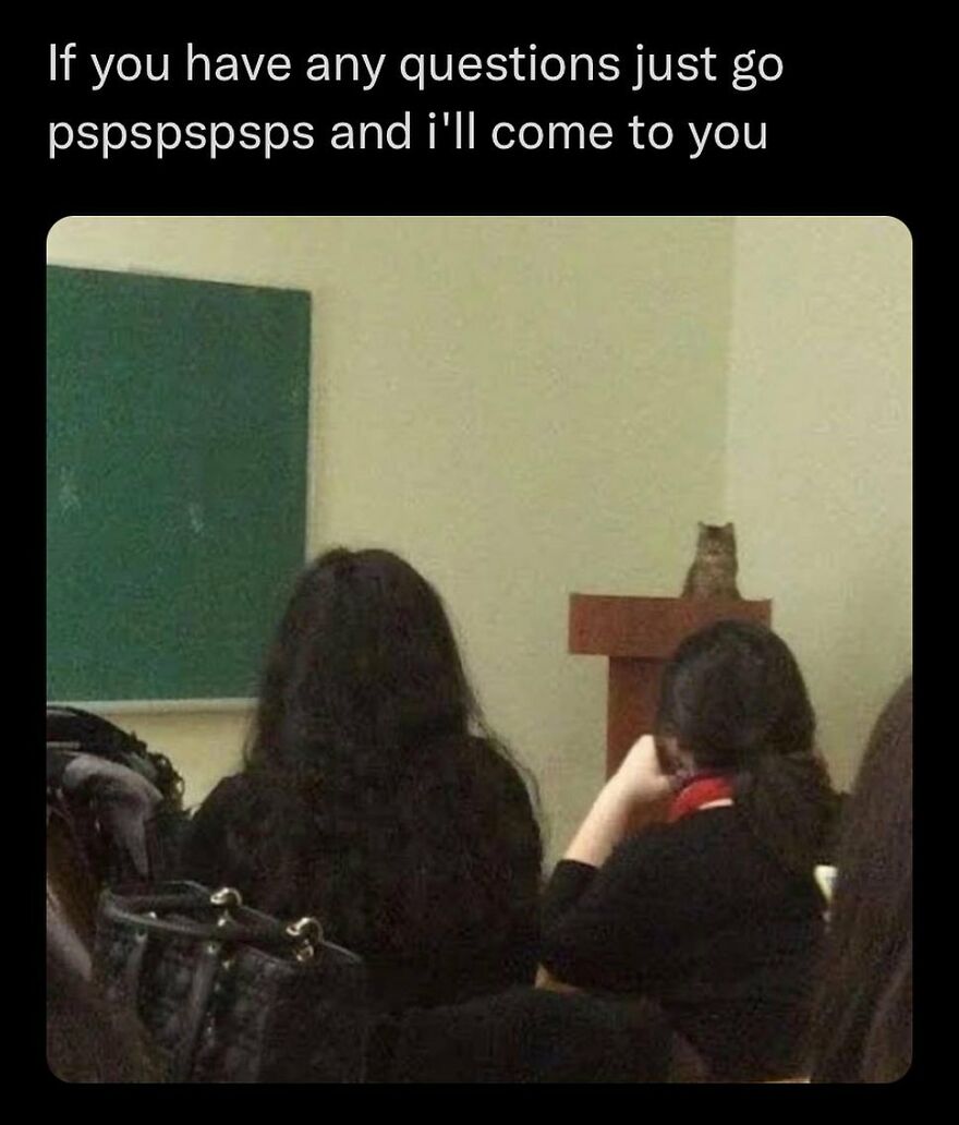 Cat meme featuring a cat sitting on a teacher's desk in a classroom setting for humorous effect.