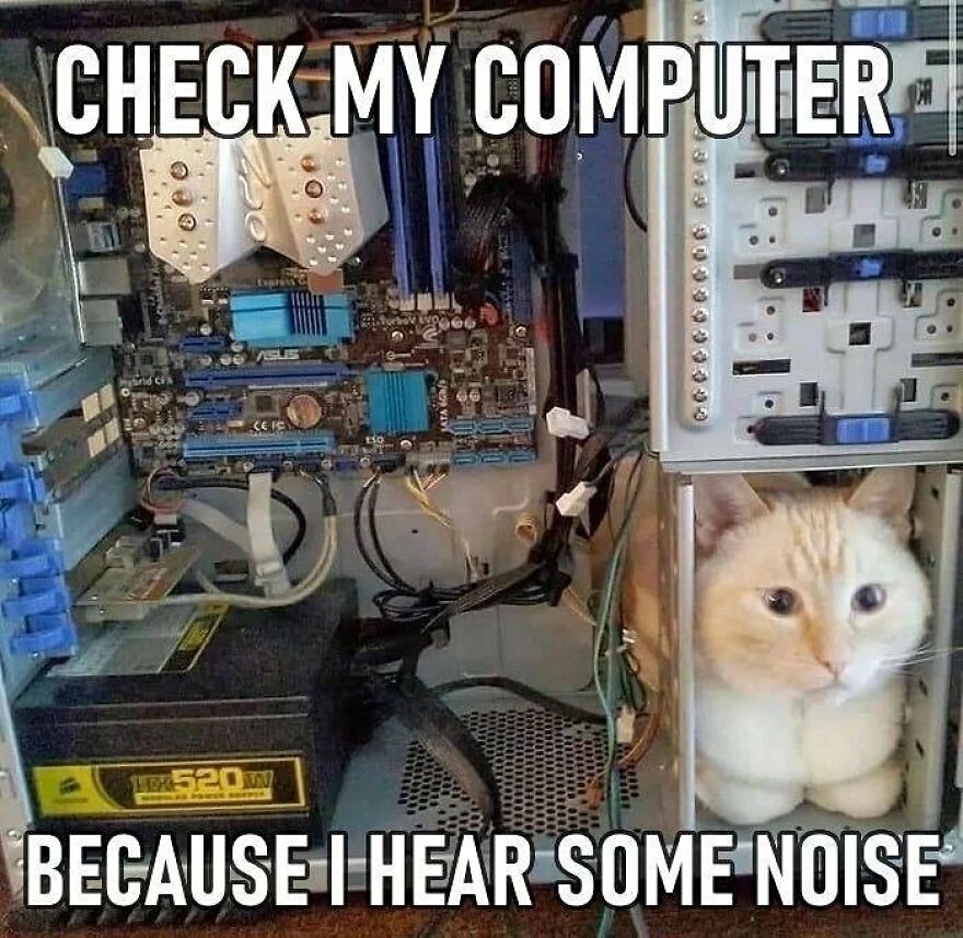 Cat inside a computer case with a funny caption.