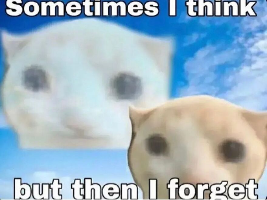 Funny meme of a cat's face in the sky with text: "Sometimes I think but then I forget."