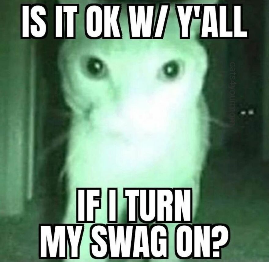 Funny cat meme with night vision filter and text: "Is it ok w/ y'all if I turn my swag on?"