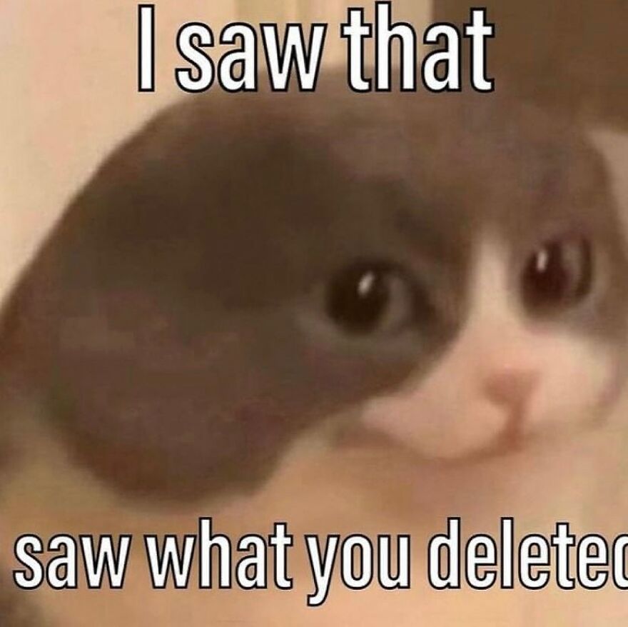 Funny cat meme with text "I saw that, saw what you deleted," featuring a wide-eyed cat.