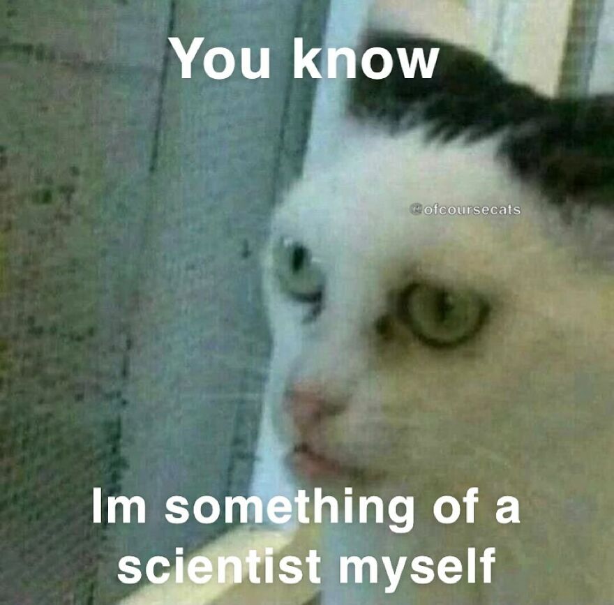 Funny cat meme with text: "You know I'm something of a scientist myself."