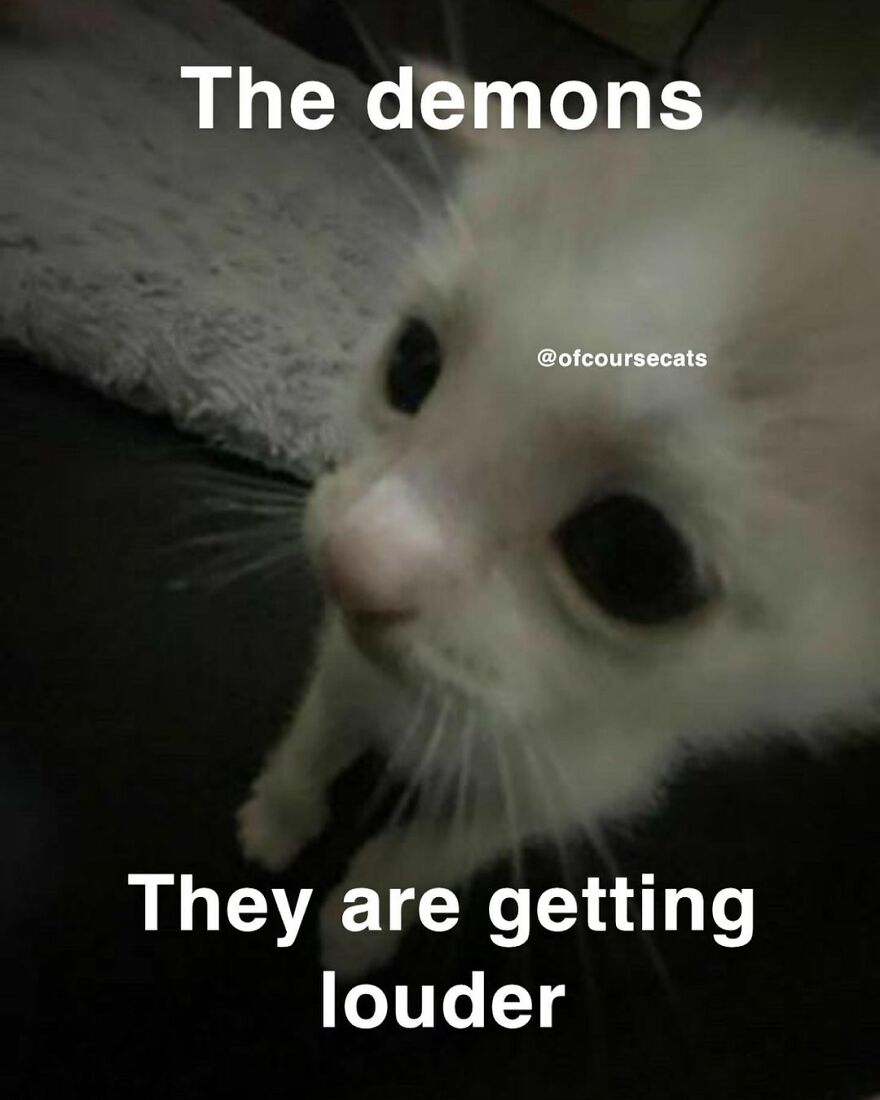 Funny cat meme with a wide-eyed kitten and text: "The demons, they are getting louder."