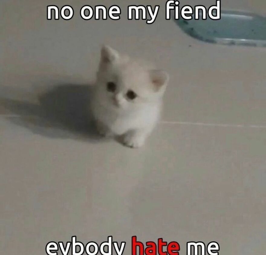 Cute kitten on floor with sad text, funny cat meme.