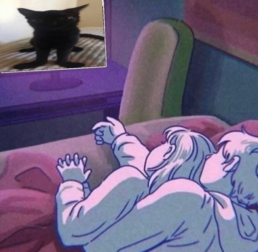 Cartoon couple in bed watching TV, featuring a funny black cat meme.