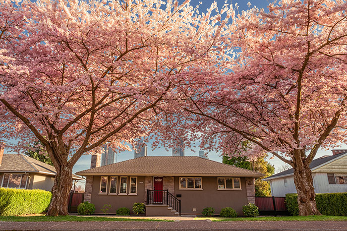 Audacious Woman Wants A Free Home, Is Sure A Good Samaritan Will Hand Over Their House To Her