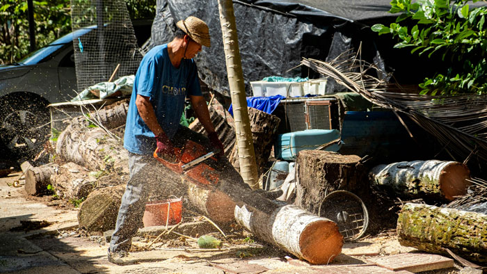 Man using a chainsaw to cut logs outside a house, wearing a straw hat and blue shirt; a scene of a homeowner at work.