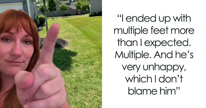 Woman Blasts Her Neighbor Online For Being Crazy Over A Fence Between Their Properties