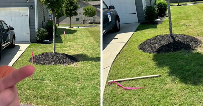 “I Was Trying To Be Kind”: Woman Gives Neighbor A Shot At Bigger Lawn, Faces Rudeness Instead