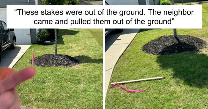 Neighbor Refuses To Discuss Property Lines, Throws Tantrum When It Backfires On Him Big Time