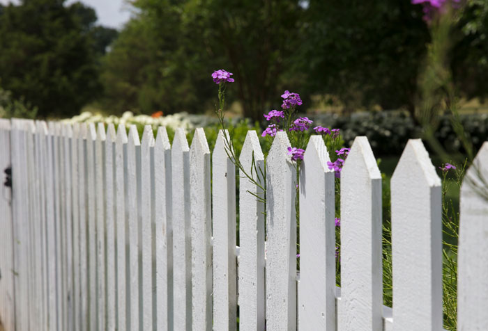 Person Replaces Old Fence After Property Survey, Faces Unexpected Lawsuit From Their Neighbor