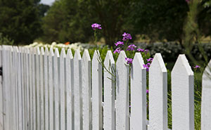 Person Replaces Old Fence After Property Survey, Faces Unexpected Lawsuit From Their Neighbor