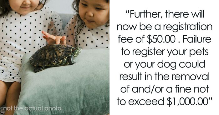 Person Asked To Pay $50 Just To Register Their Turtle With The HOA Or They Can Be Fined $1000