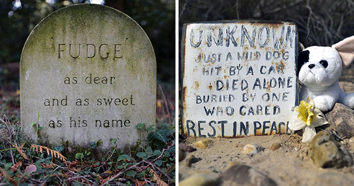 ‘Faithful Unto Death’: 40 Touching Images By Paul Koudounaris Capturing Pet Cemeteries