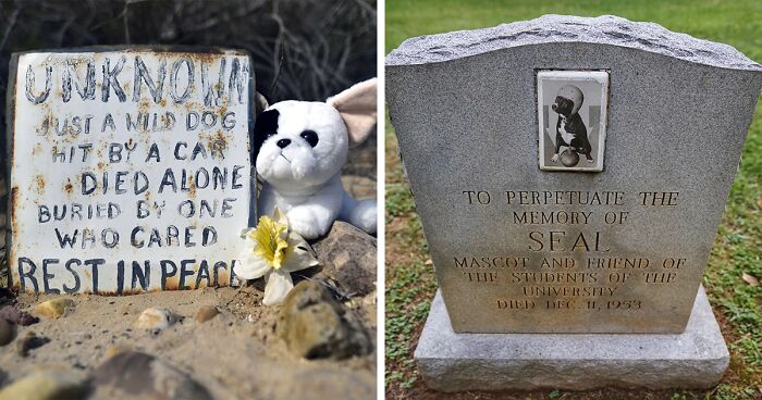 ‘Faithful Unto Death’: 68 Powerful Images Of Pet Graves By Paul Koudounaris