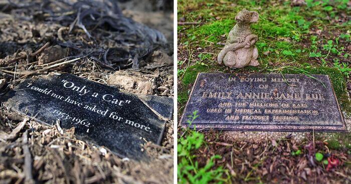 68 Touching Images Of Pet Graves Captured By Paul Koudounaris