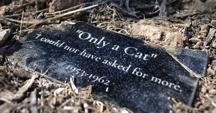 This Photographer Explored Pet Cemeteries Worldwide, Capturing 68 Touching Images Of Pet Graves