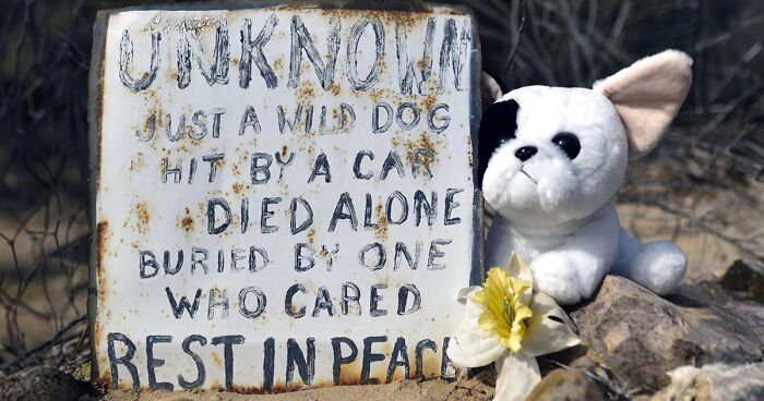 ‘Faithful Unto Death’: 68 Touching Images By Paul Koudounaris Capturing Pet Cemeteries