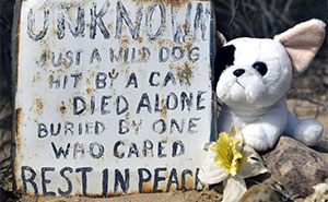 ‘Faithful Unto Death’: 68 Powerful Images Of Pet Graves By Paul Koudounaris