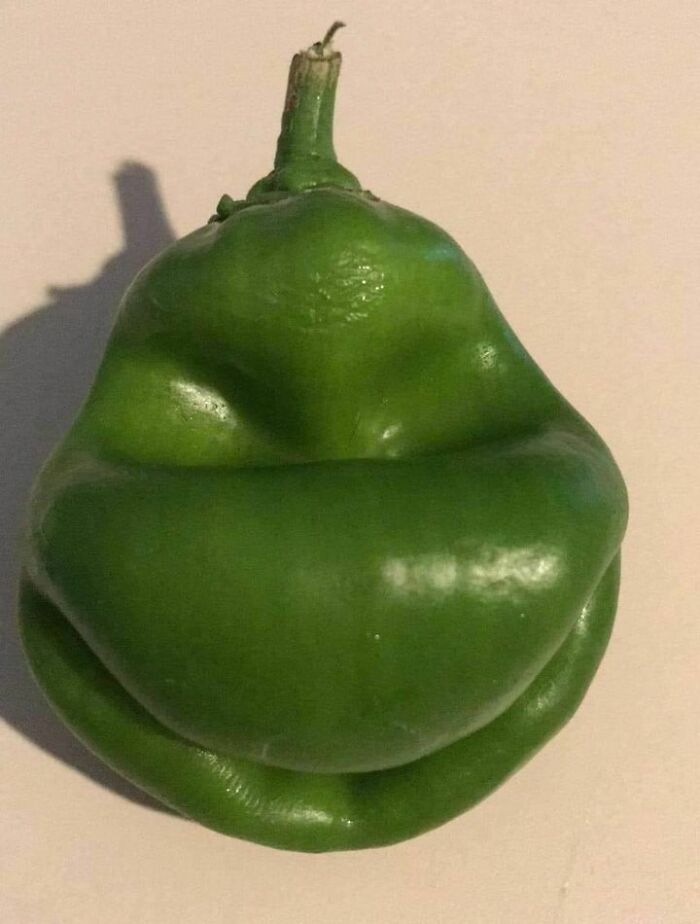 The Pepper My Mom Grew Looks Like It’s Ready To Steal Christmas