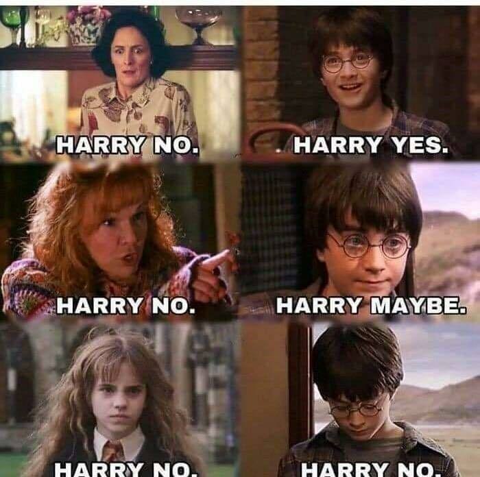 Funny-Harry-Potter-Memes