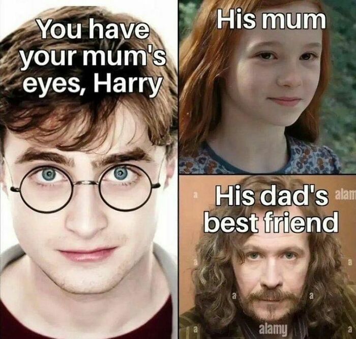 Funny-Harry-Potter-Memes