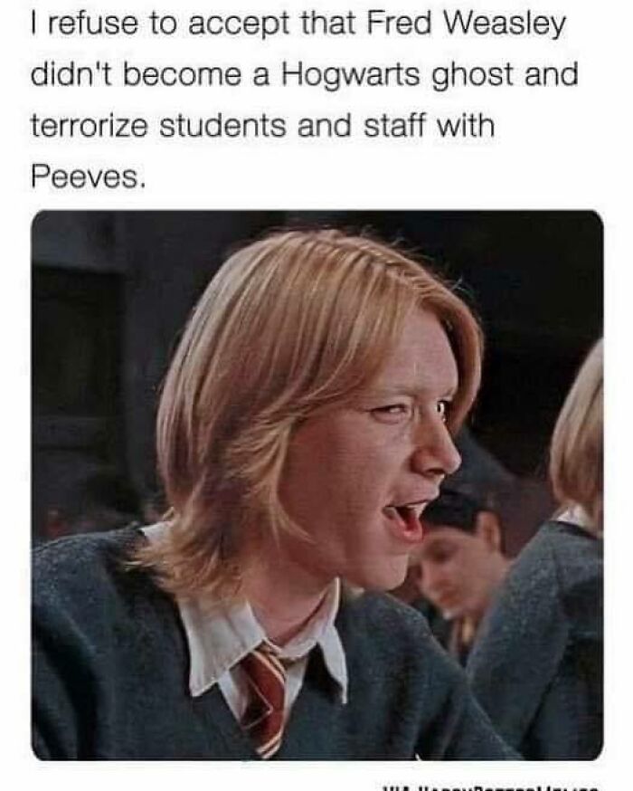 Funny-Harry-Potter-Memes