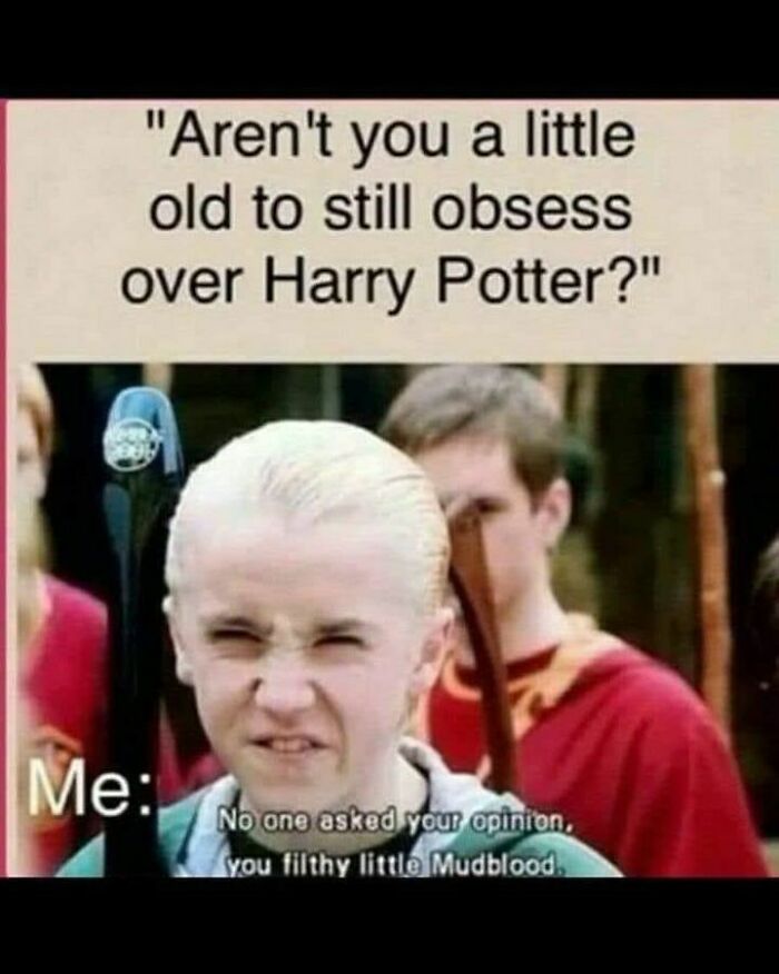 Funny-Harry-Potter-Memes