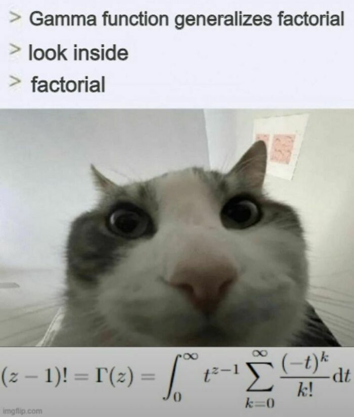 Math-Memes-Jokes