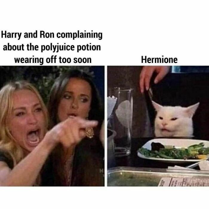 Funny-Harry-Potter-Memes