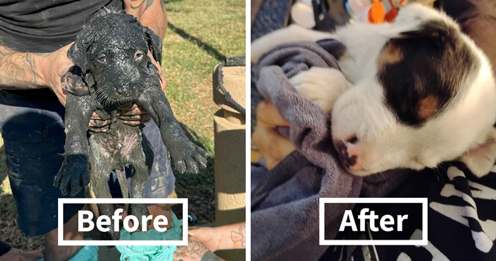 Thanks To Police, This Puppy Is Feeling Fresh And Clean Again After Being Stuck In A Sewage Drain