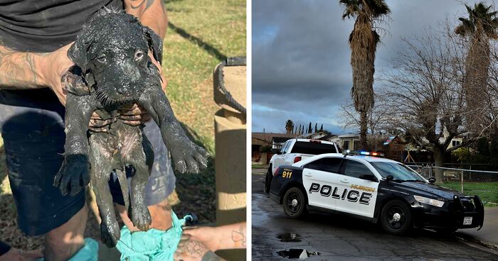 The Huron Police Department In California Rescued A Puppy Who Was Stuck In A Sewage Drain