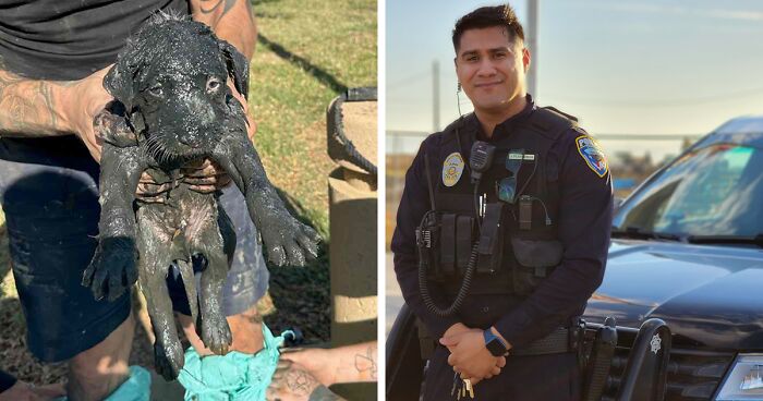 Policeman Wades Knee-Deep In Sewage, All To Rescue An Innocent Puppy