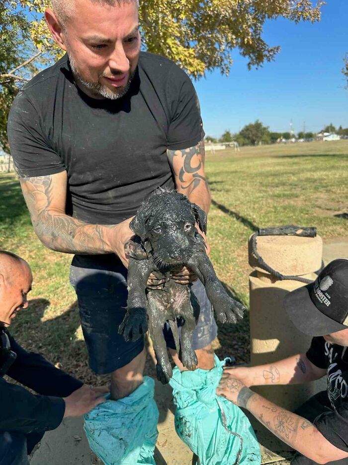 The Huron Police Department Helped A Puppy Who Couldn’t Get Out Of A Smelly Situation Alone