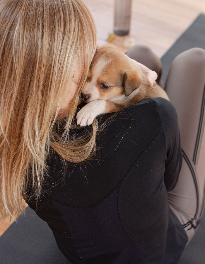 Yoga With Homeless Puppies Adds Twist To Traditional “Puppy Yoga” Trend To Promote Adoptions