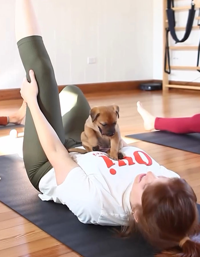 Yoga With Homeless Puppies Adds Twist To Traditional “Puppy Yoga” Trend To Promote Adoptions