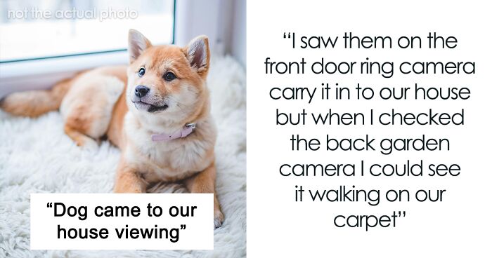 “I Could See It Walking On Our Carpet”: Woman Appalled After Buyer Brings A Dog To House Viewing