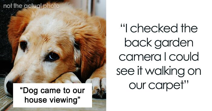 Woman Confronts Estate Agent After She Allows Dog At House Viewing